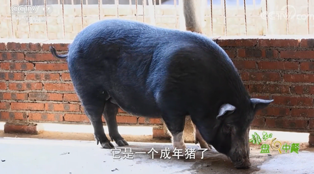 微信图片_20230206115357 微信图片_20230206115357